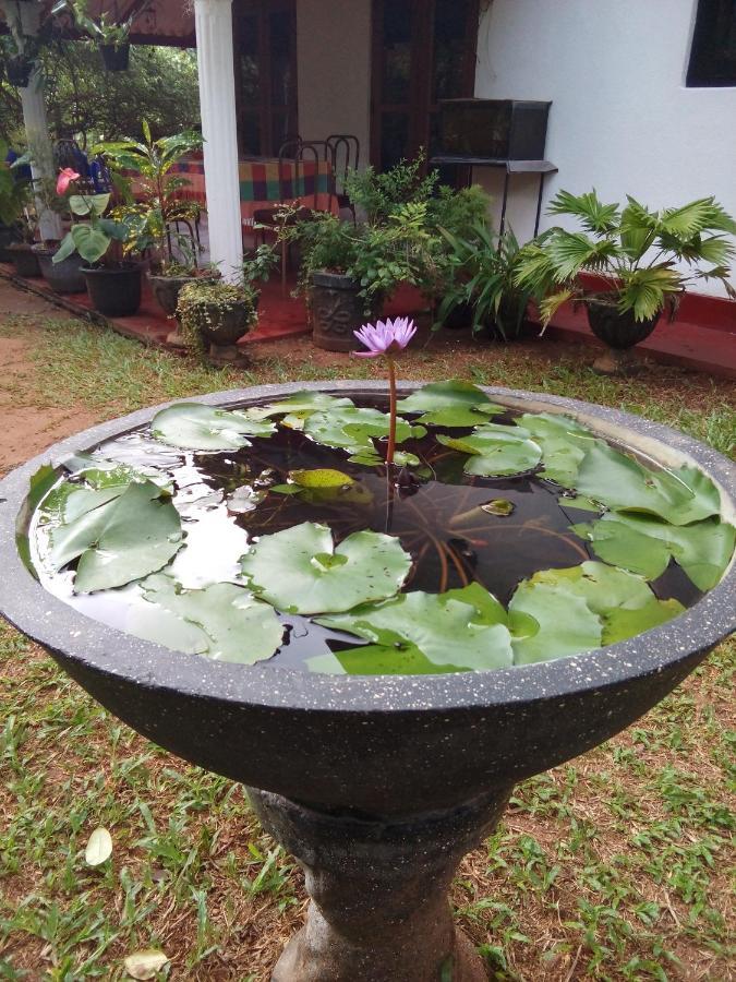 Lake House Homestay Anuradhapura Εξωτερικό φωτογραφία